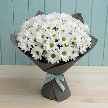 Букет цветов из:  Хризантемы в Любытино