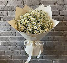 Букет цветов из:  Ромашки #REPLACE_PRED# Любытино