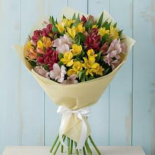 Букет цветов из:  Альстромерии в Любытино