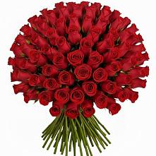 Букет Красные розы Чери Лав в Любытино