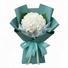 Букет цветов из:  Гортензия в Любытино
